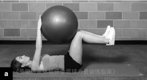 哪里可以找到篮球训练的模范案例_1